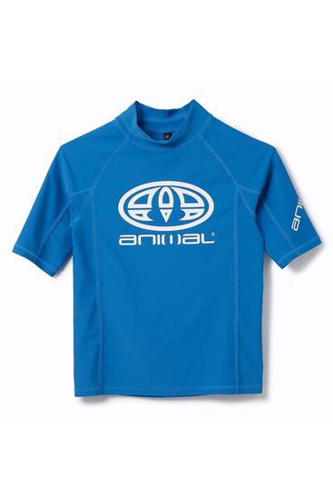 Picture of Hiltern Rash Vest