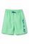 Picture of Tannar Boardshort