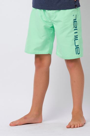 Picture of Tannar Boardshort