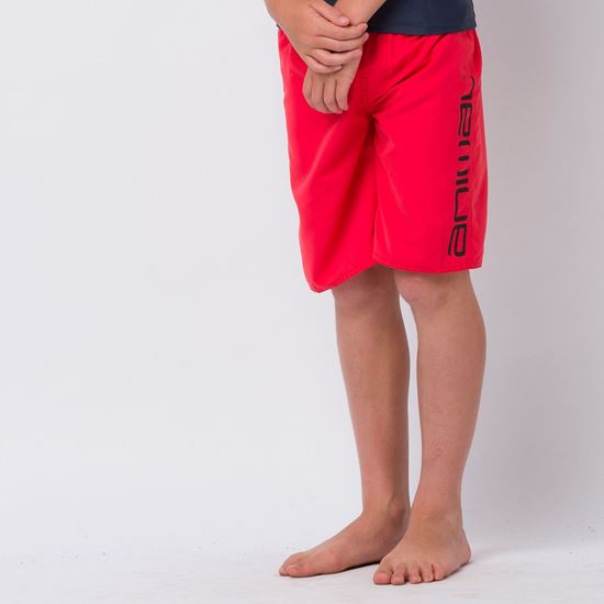 Picture of Tannar Boardshort
