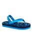 Picture of Goofey Flip Flop