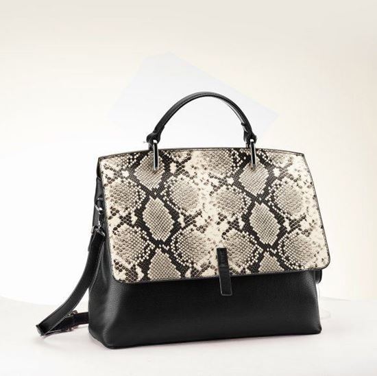 Picture of Bag With Python Print