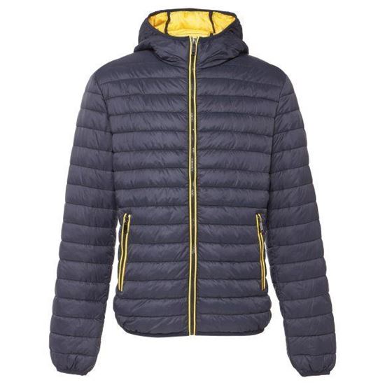 Picture of Padded Jacket With Hood