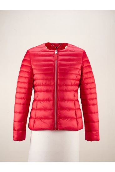 Picture of Padded Jacket