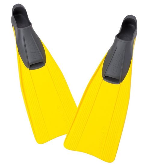 Picture of Clio Fins