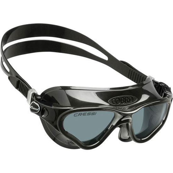 Picture of Cobra Goggles Blk-Fram Blk