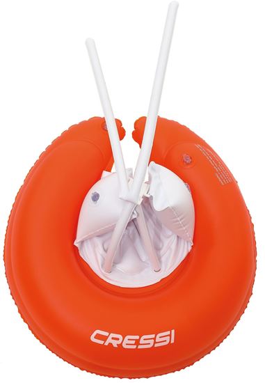 Picture of Swim Ring Float Seat