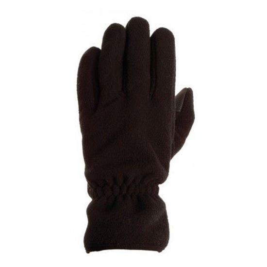 Picture of Gloves Polare