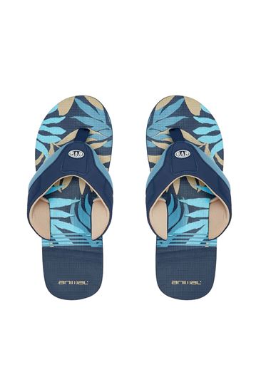 Picture of Jekyl Swim