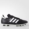 Picture of Copa Mundial