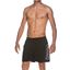 Picture of Fundamentalslogo Boxer