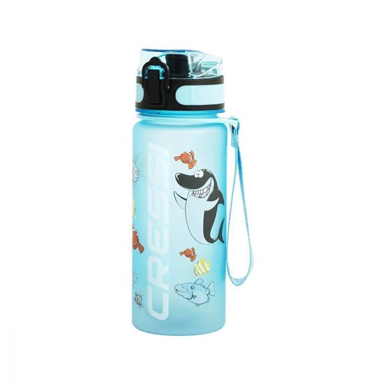 Picture of H2o Frosted Water Bottle