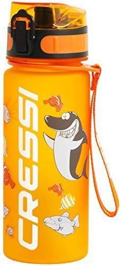 Picture of H2o Frosted Water Bottle