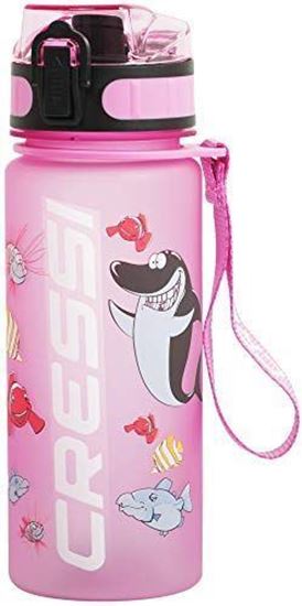 Picture of H2o Frosted Water Bottle