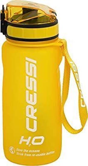 Picture of H2o Frosted Water Bottle