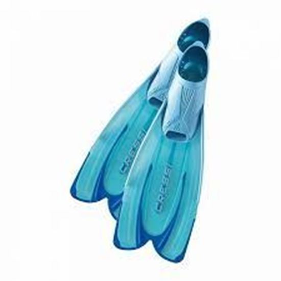 Picture of Agua Fins