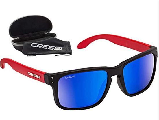 Picture of Blaze Sunglasses