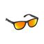 Picture of Leblon Sunglasses