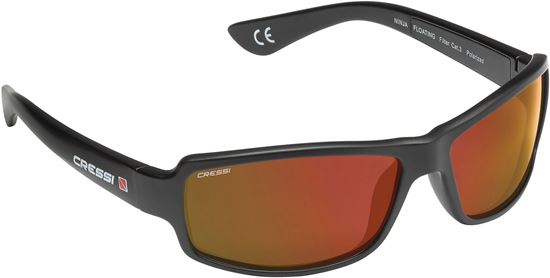 Picture of Ninja Sunglasses