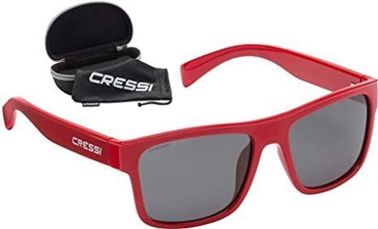Picture of Spike Sunglasses