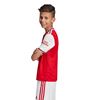 Picture of Arsenal Home Jersey