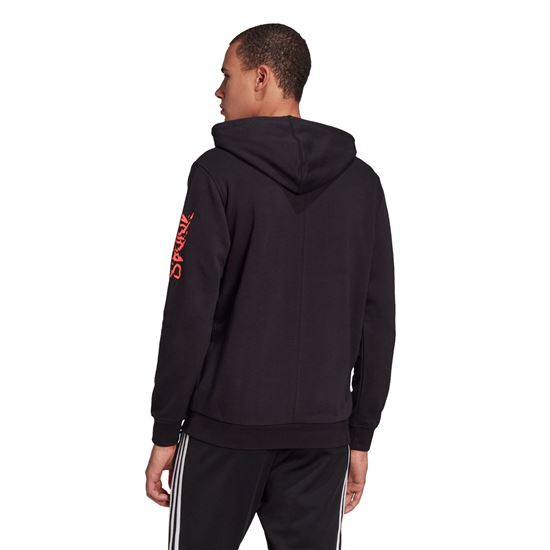 Picture of Fstv Hoody