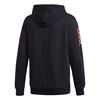 Picture of Fstv Hoody