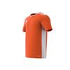 Picture of Entrada 18 Ss Jersey