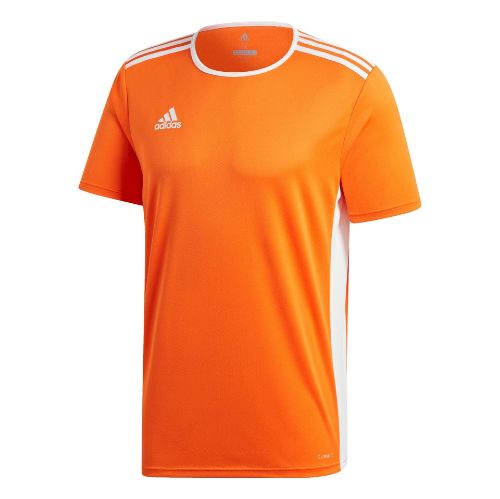 Picture of Entrada 18 Ss Jersey