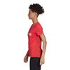 Picture of W D2m Lo Tee