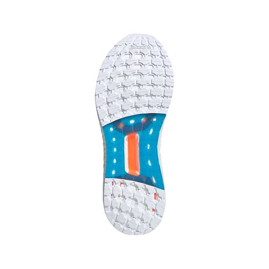 Picture of Ultraboost 20 Primeblue