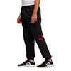 Picture of Fstv Trackpant