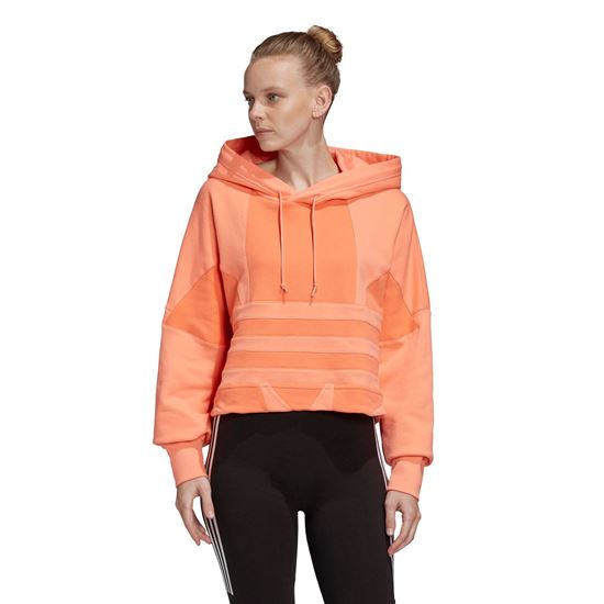 Picture of Lrg Logo C-Hood
