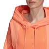 Picture of Lrg Logo C-Hood