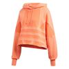 Picture of Lrg Logo C-Hood
