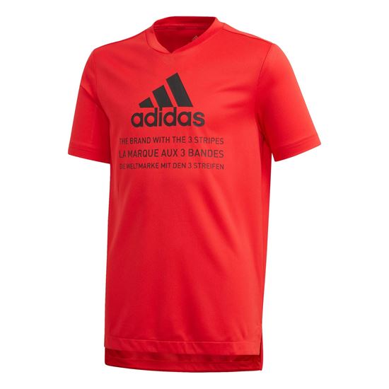 Picture of Jb Tr Tee V1