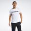 Picture of Gs Reebok Linear Read Tee
