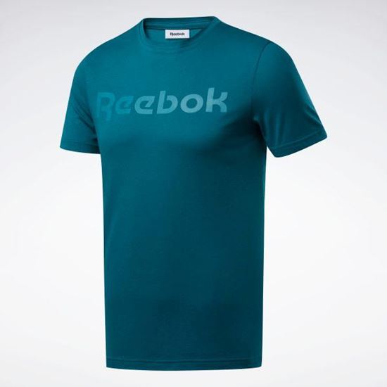 Picture of Gs Reebok Linear Read Tee