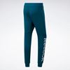 Picture of Te Linear Logo Jogger