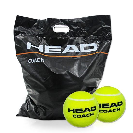 Picture of 72B Coach- Polybag