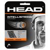 Picture of Intellistring Squash