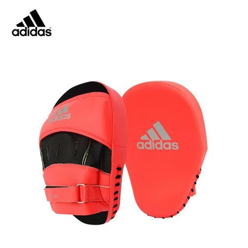 Picture of Speed Coach Mitts