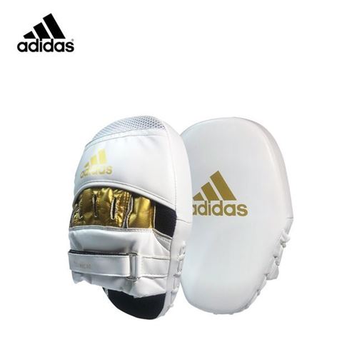 Picture of Speed Coach Mitts