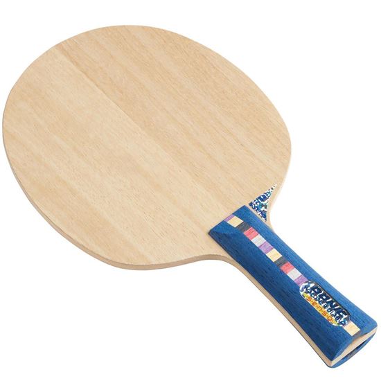 Picture of Waldner Diablo Senso Ben