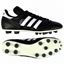 Picture of Copa Mundial