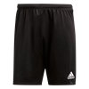 Picture of Parma 16 Shorts