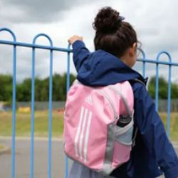 Picture for category Accessories